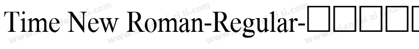 Time New Roman-Regular字体转换